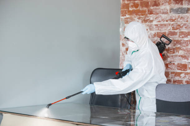 Best Dehumidification Services in Mosheim, TN