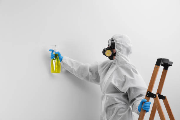 Best Environmental Consulting for Mold Prevention in Mosheim, TN